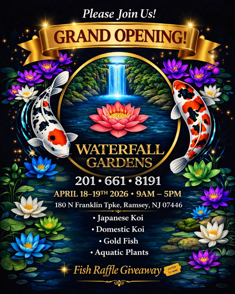 9945184b c19a 4cc1 bc63 ad4ffd66a30a